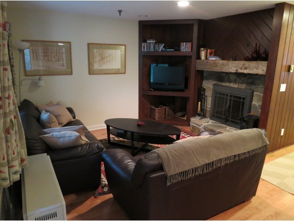 85 East Birch Road, Unit 17 Stratton, VT 05155 - Photo 1 of 1 Gallery Image 1