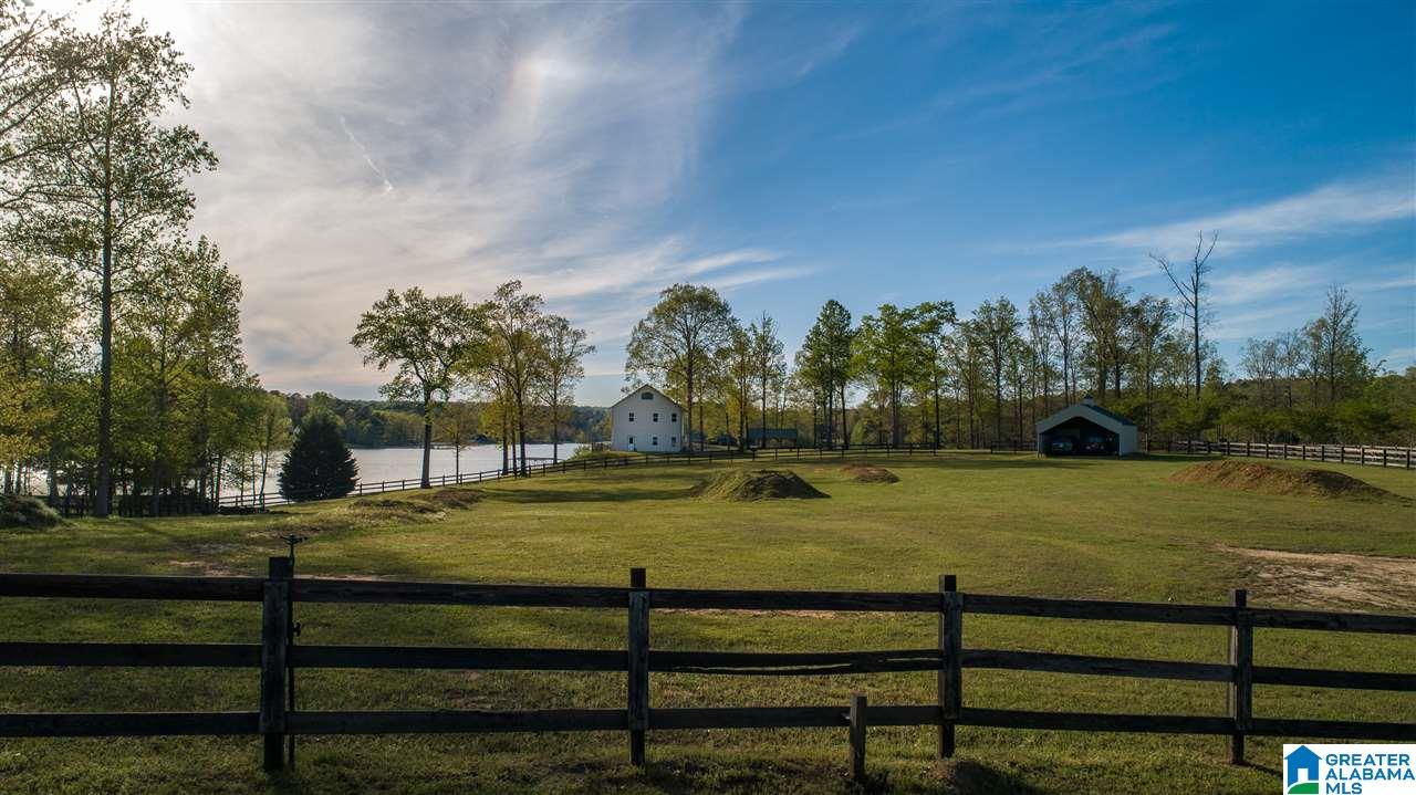 182 Rosie Road Arley, AL 35541 - Photo 10 of 35