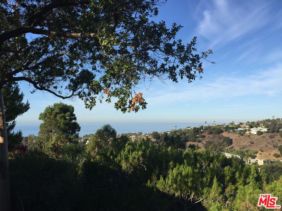 1373 Las Canoas Road Pacific Palisades, CA 90272 - Photo 16 of 19 a view of a tree in a field with a tree