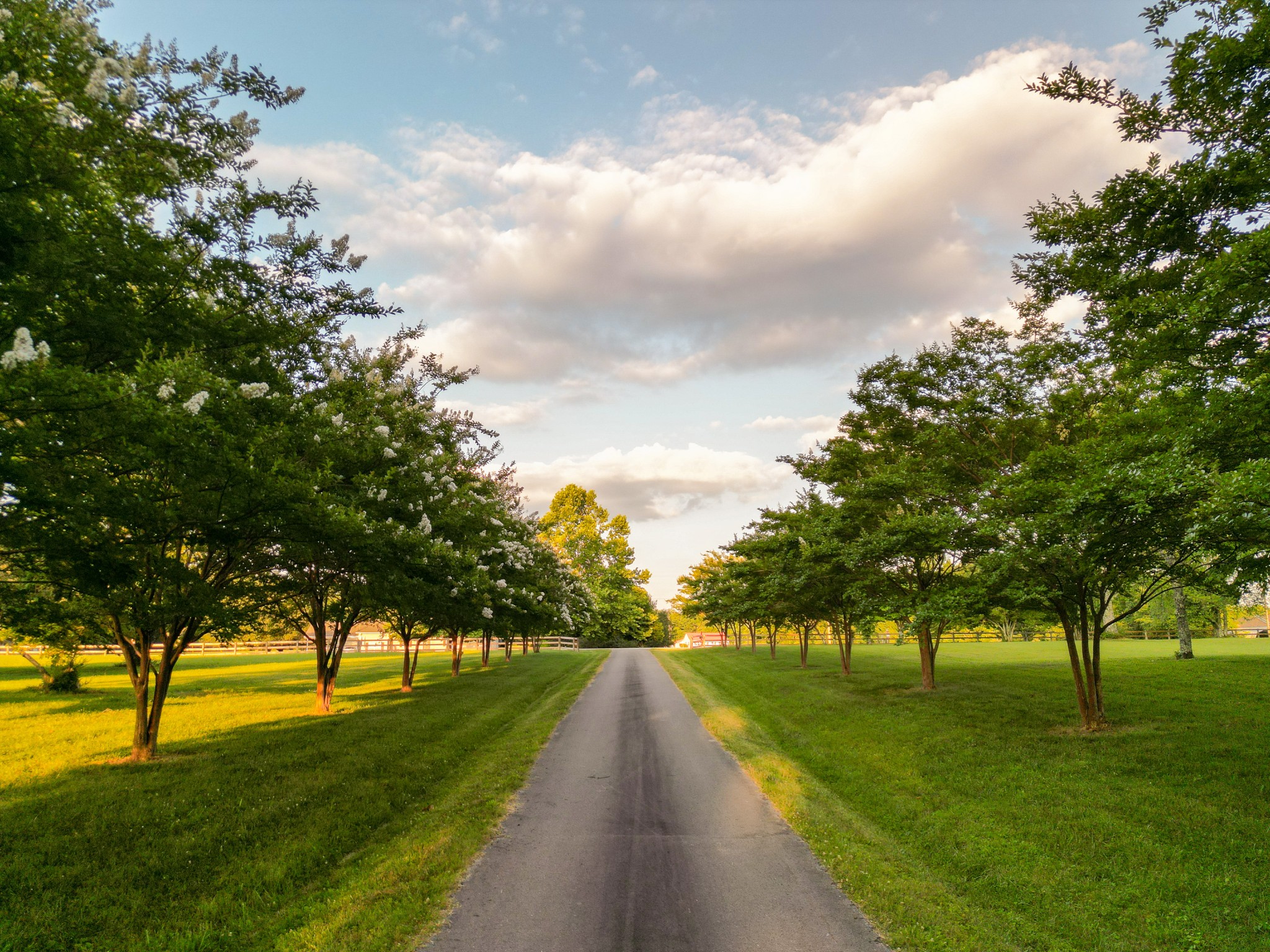 3079 Riley Creek Road Normandy, TN 37360 - Photo 3 of 59 a view of a street with a tree in the background