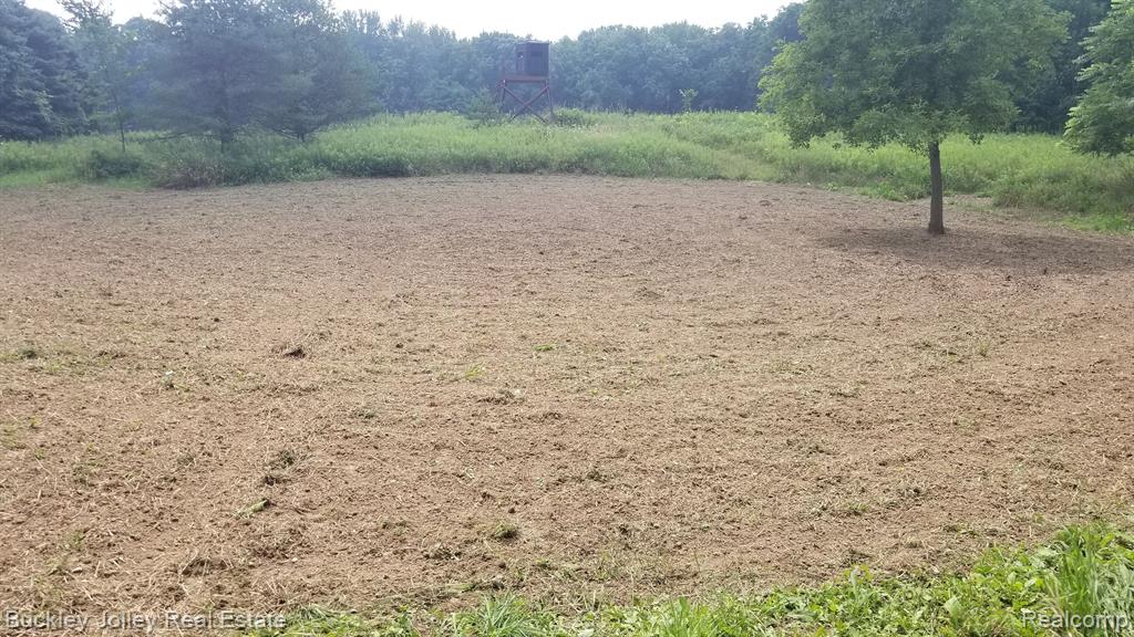 0 East Townsend Road Webberville, MI 48892 - Photo 9 of 15