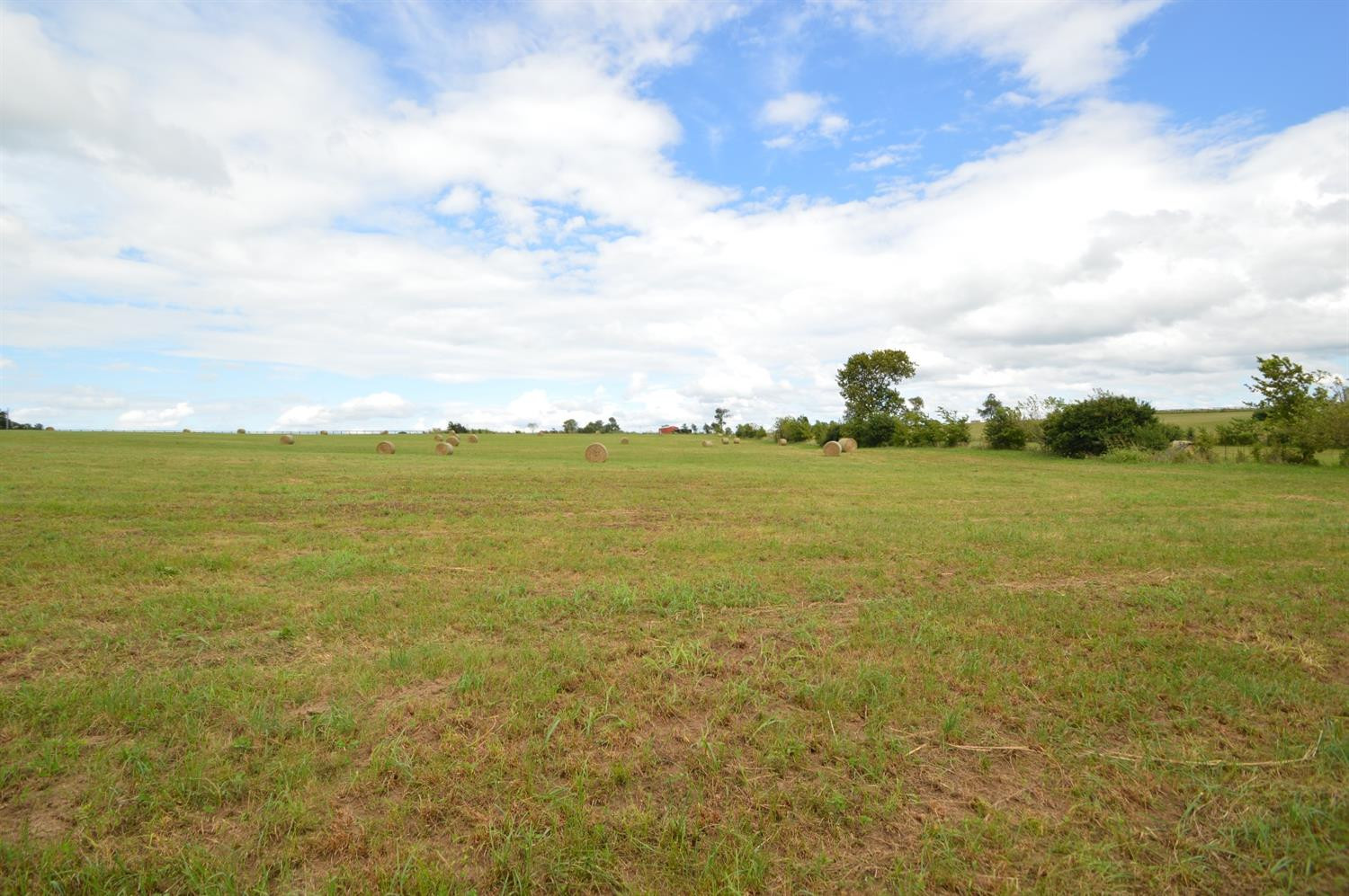 327 Robinson Roe Road, Unit 9 Harrodsburg, KY 40330 - Photo 4 of 7 Listing Photo