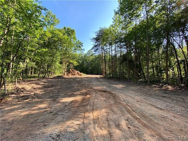 Lot 3 Three Chopt Road Sandy Hook, VA 23153 - Photo 5 of 9