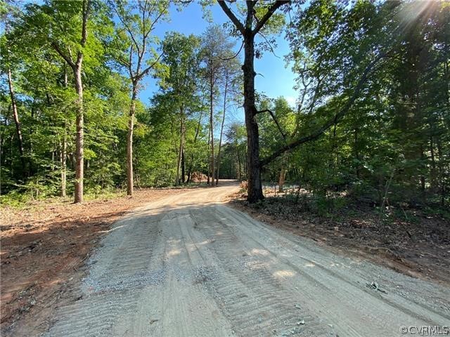 Lot 3 Three Chopt Road Sandy Hook, VA 23153 - Photo 6 of 9