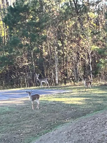 a view of swimming pool with an outdoor space