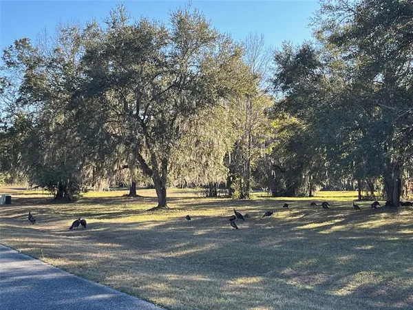 $118,000 | Tbd Northwest Tbd Nw 148th Lane, Williston, FL 32696