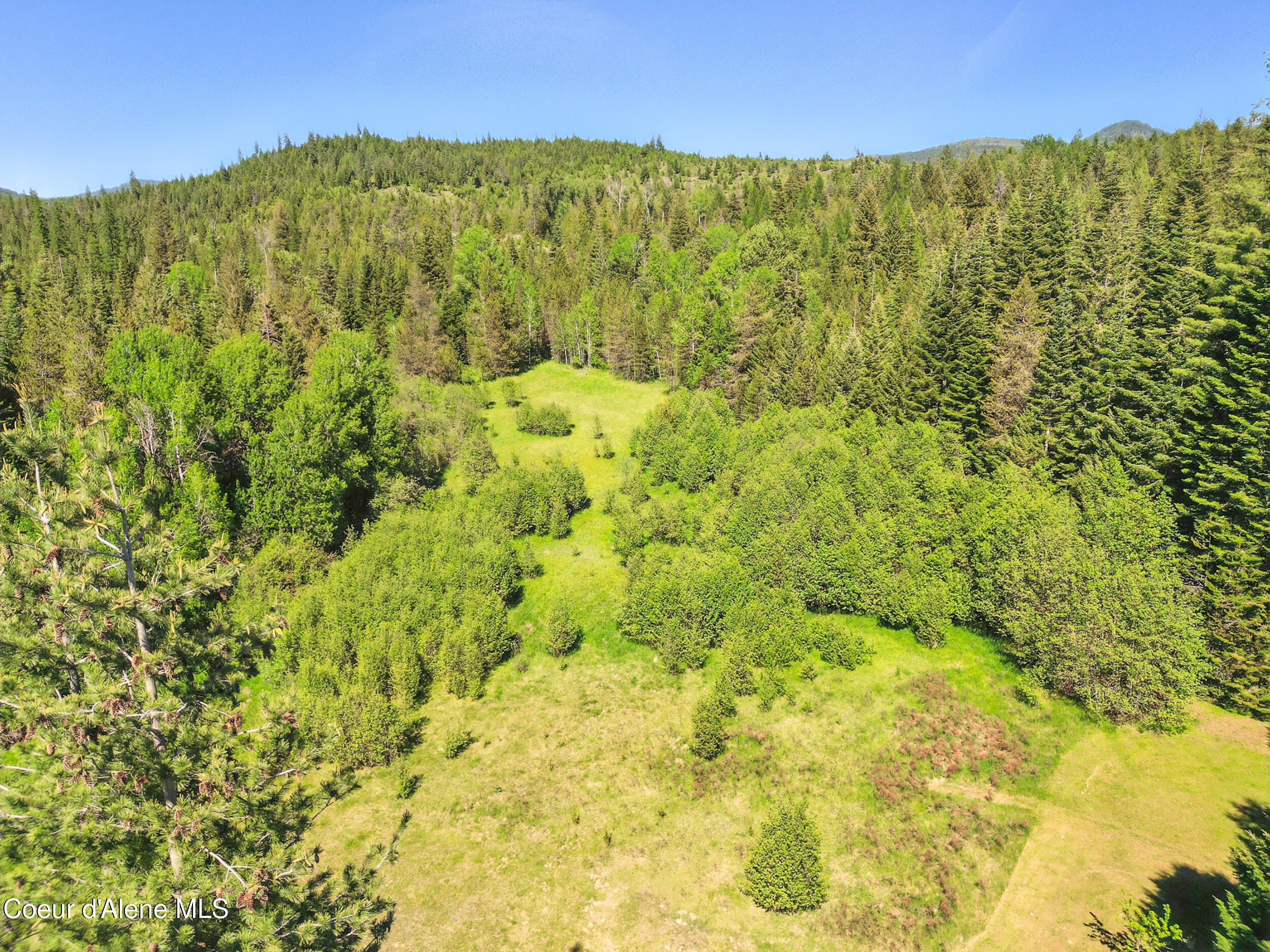 670 Sunset Road Athol, ID 83801 - Photo 50 of 52 Photo_023 (1)