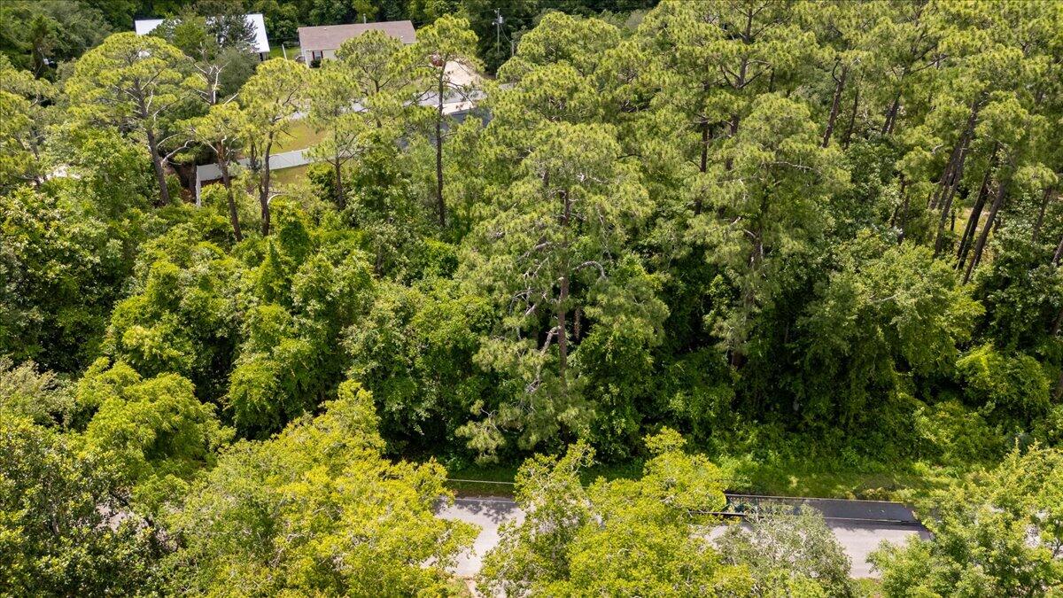 3113 Evans Avenue Navarre, FL 32566 - Photo 5 of 8 a view of a garden with plants