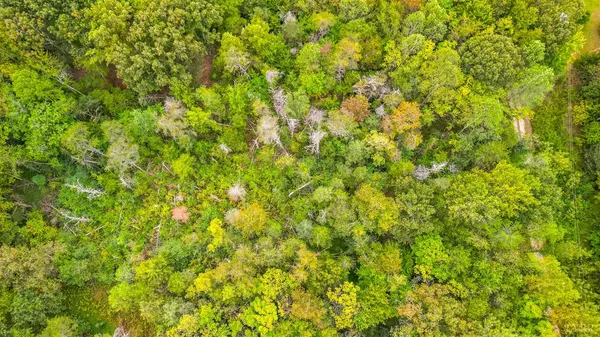 a view of city and ocean