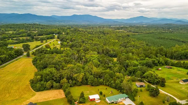 a view of a lush green hillside and houses