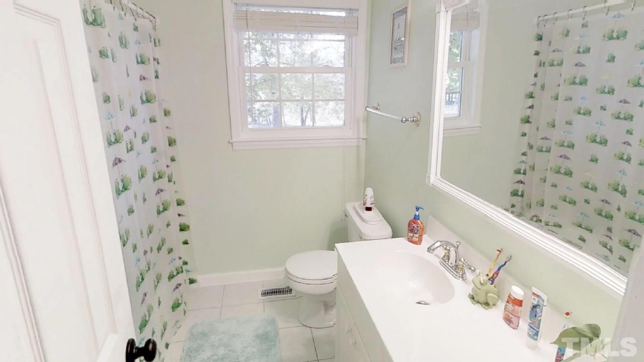 10027 Rougemont Road Bahama, NC 27503 - Photo 14 of 25 a bath room with a sink and a toilet