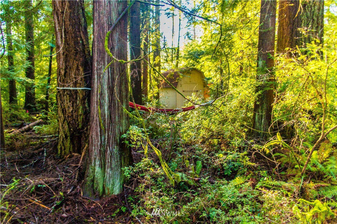 9181 Misery Point Road Northwest Seabeck, WA 98380 - Photo 22 of 25 Gallery Image 22