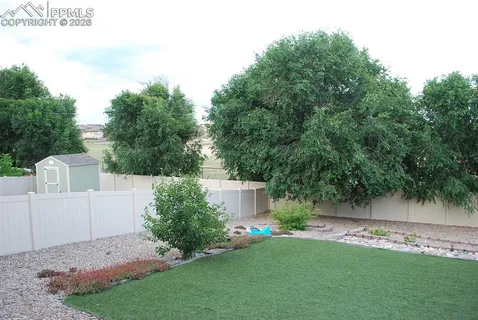 a view of a backyard with plants and large trees