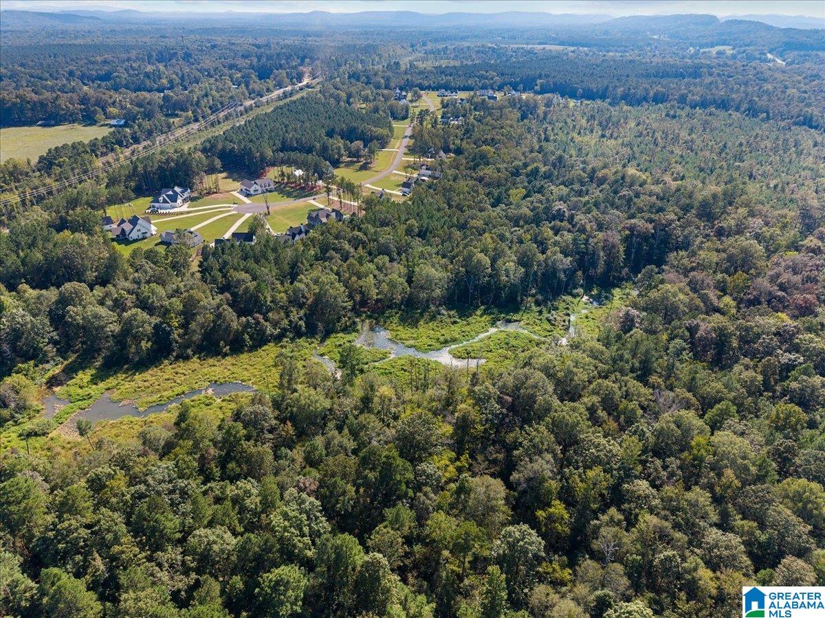 425 Stonewood Trail Springville, AL 35146 - Photo 32 of 38