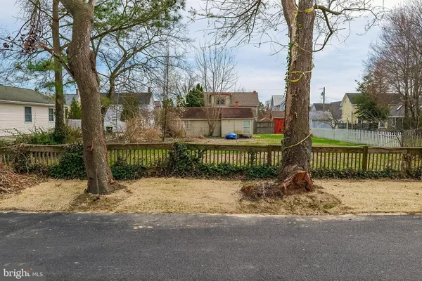 a view of a yard with plants and trees