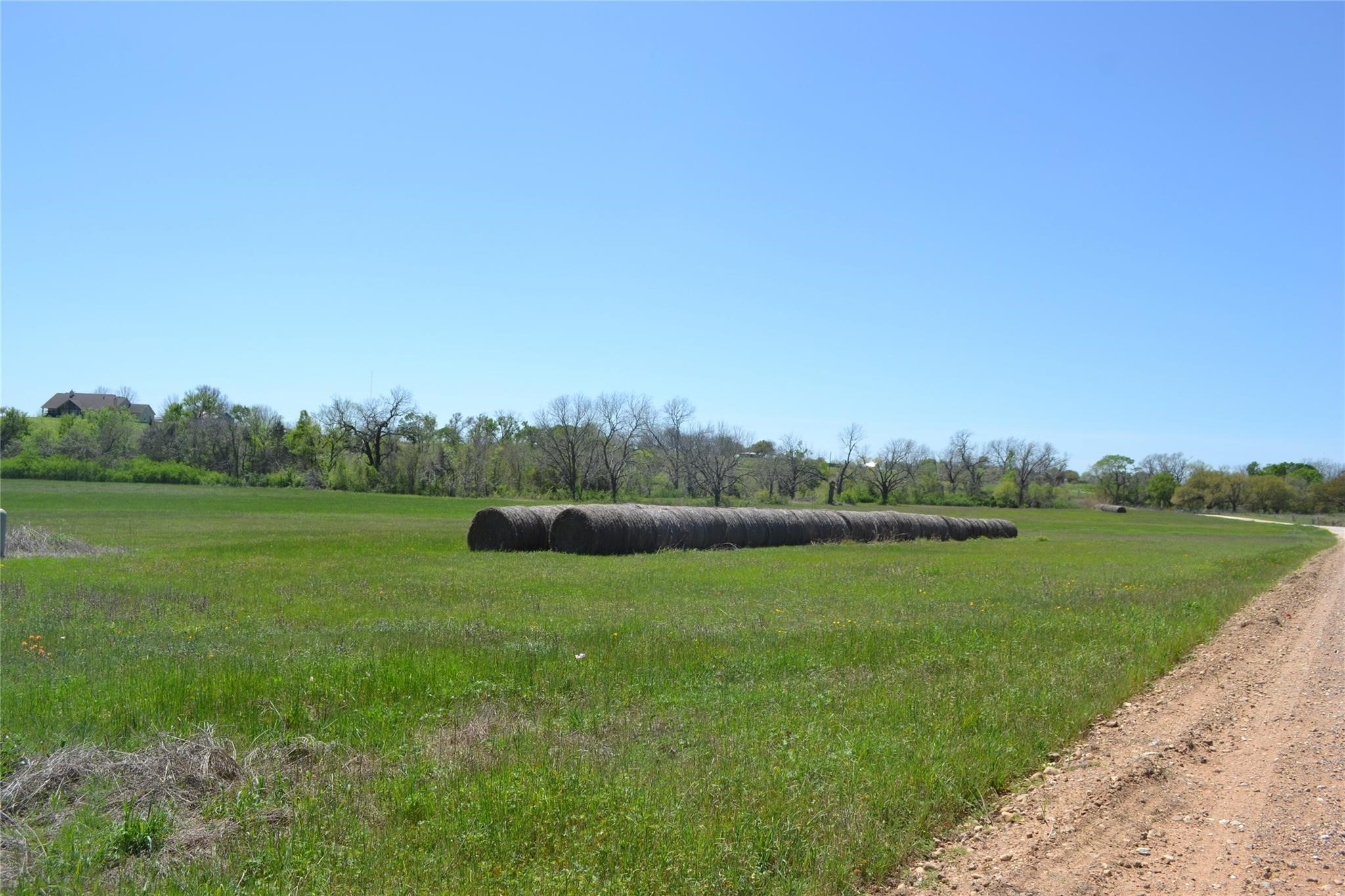 5568 Bleiblerville Road Bleiblerville, TX 78931 - Photo 7 of 12