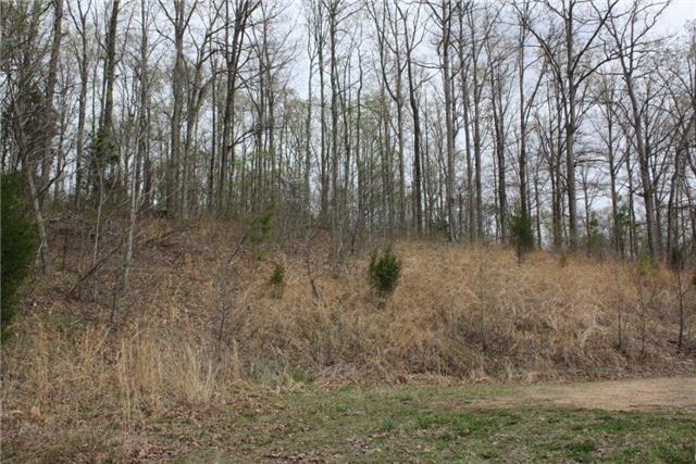 347 Half Pone Road Erin, TN 37061 - Photo 17 of 19 Gallery Image 17