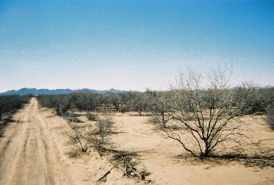 0 Tbd, Unit TBD Tucson, AZ 85735 - Photo 3 of 3