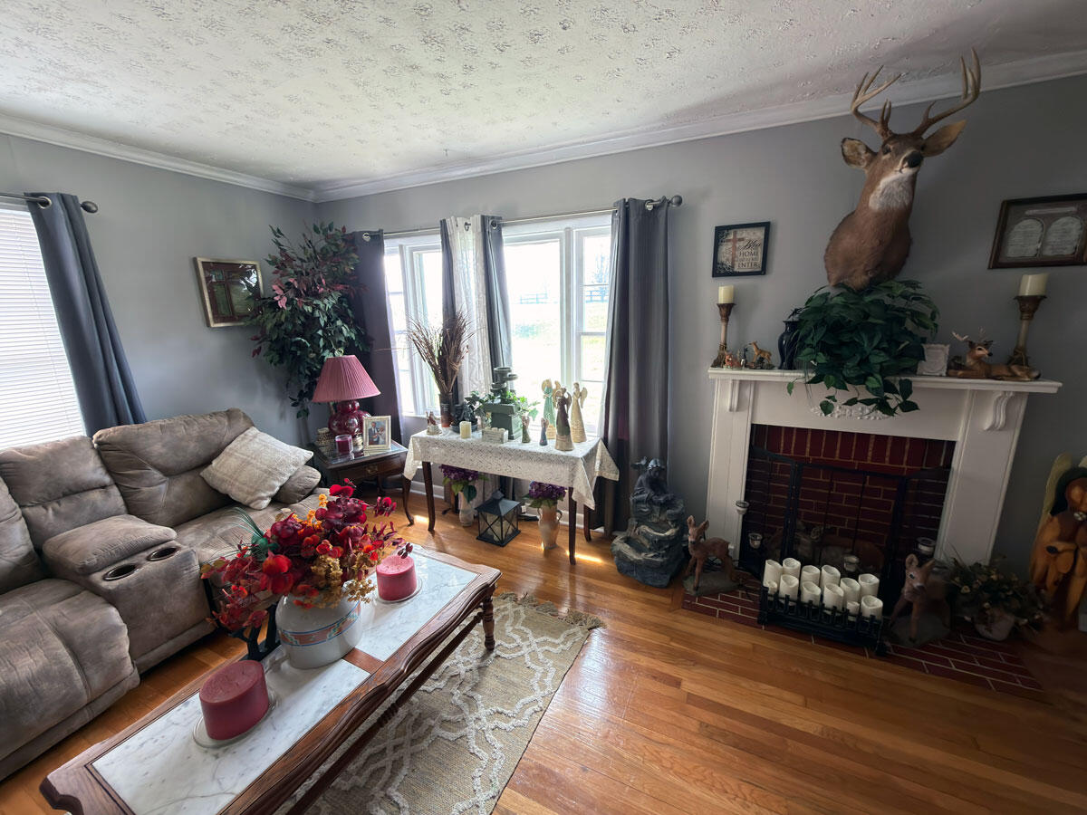 1100 Keene Road Nicholasville, KY 40356 - Photo 5 of 26 Living-Room