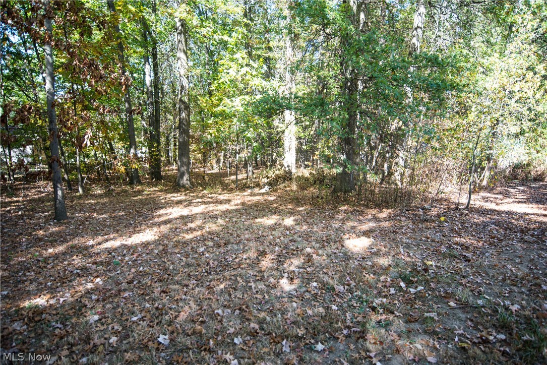 6261 Peck Road Ravenna, OH 44266 - Photo 31 of 31 Gallery Image 31