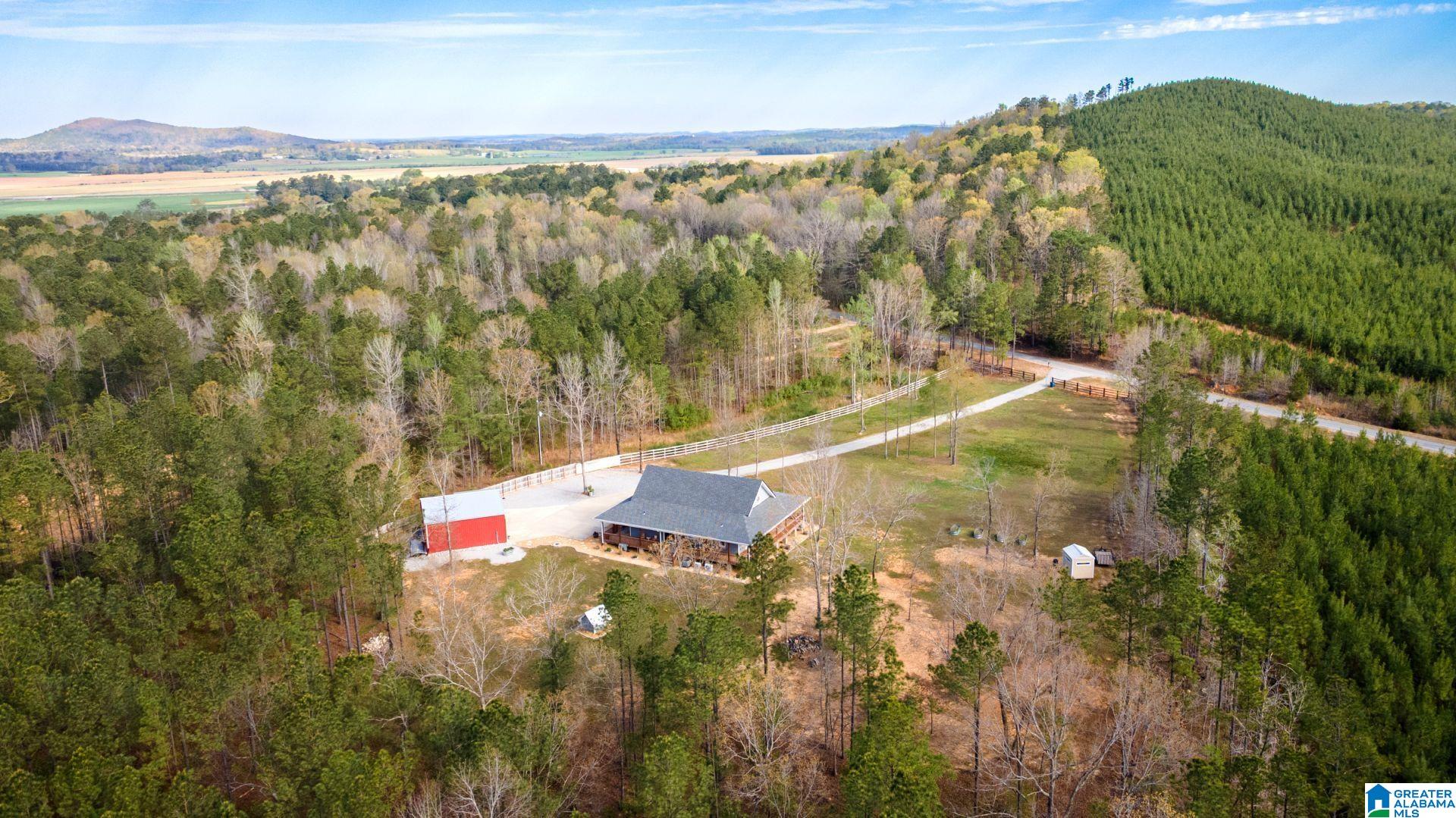 700 Chinnabee Road Munford, AL 36268 - Photo 7 of 33
