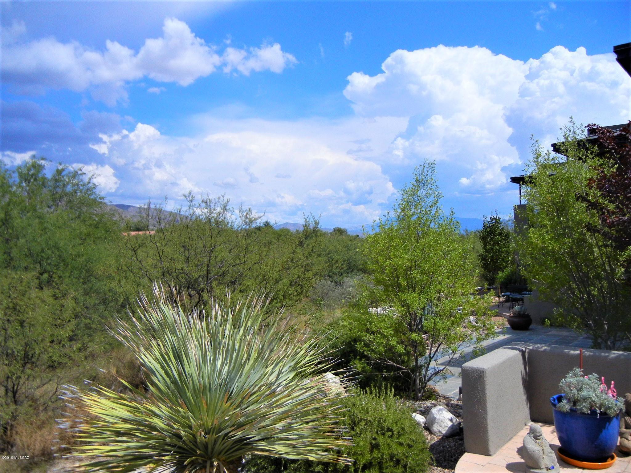 5800 North Kolb Road, Unit 8210 Tucson, AZ 85750 - Photo 18 of 24