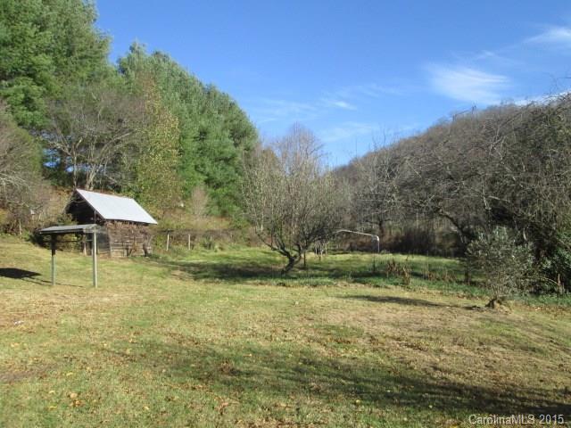 1700 Queentown Road Canton, NC 28716 - Photo 3 of 23