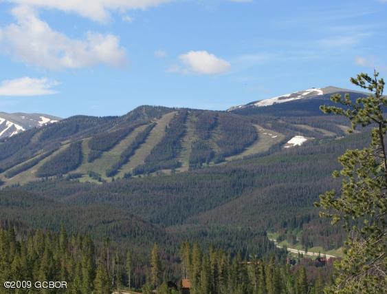 860 Cozens Ridge Fraser, CO 80442 - Photo 1 of 10 View