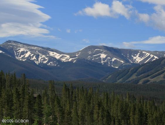 860 Cozens Ridge Fraser, CO 80442 - Photo 5 of 10 IMG_6800a