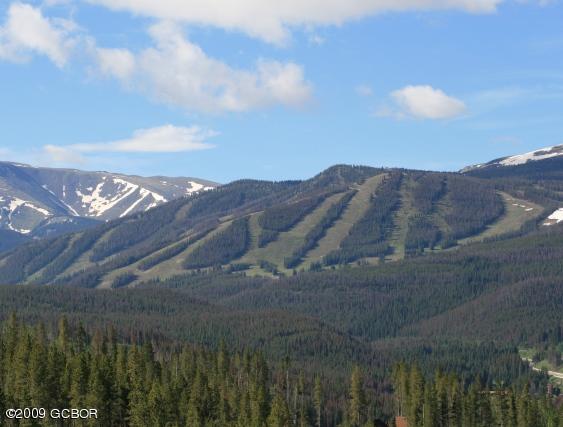 860 Cozens Ridge Fraser, CO 80442 - Photo 7 of 10 IMG_6802a