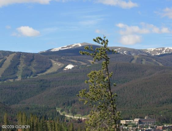 860 Cozens Ridge Fraser, CO 80442 - Photo 8 of 10 IMG_6804a