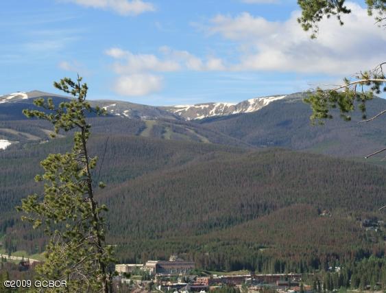 860 Cozens Ridge Fraser, CO 80442 - Photo 9 of 10 IMG_6805a