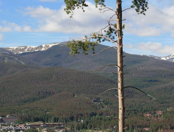 860 Cozens Ridge Fraser, CO 80442 - Photo 10 of 10 IMG_6806a
