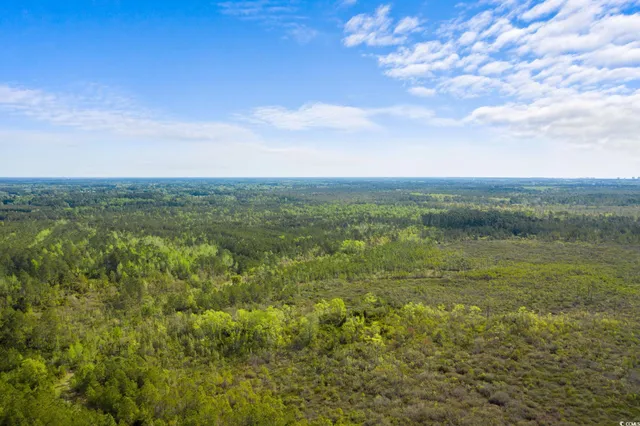 $7,500,000 | Tbd Water Tower Road, Longs, SC 29568