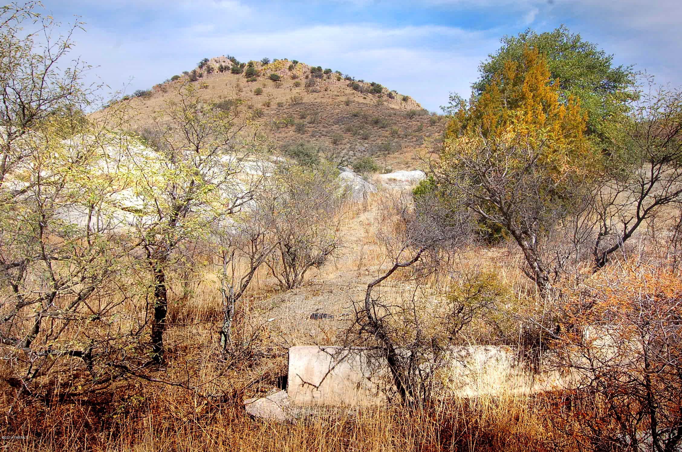Canyon Road Patagonia, AZ 85624 - Photo 6 of 34