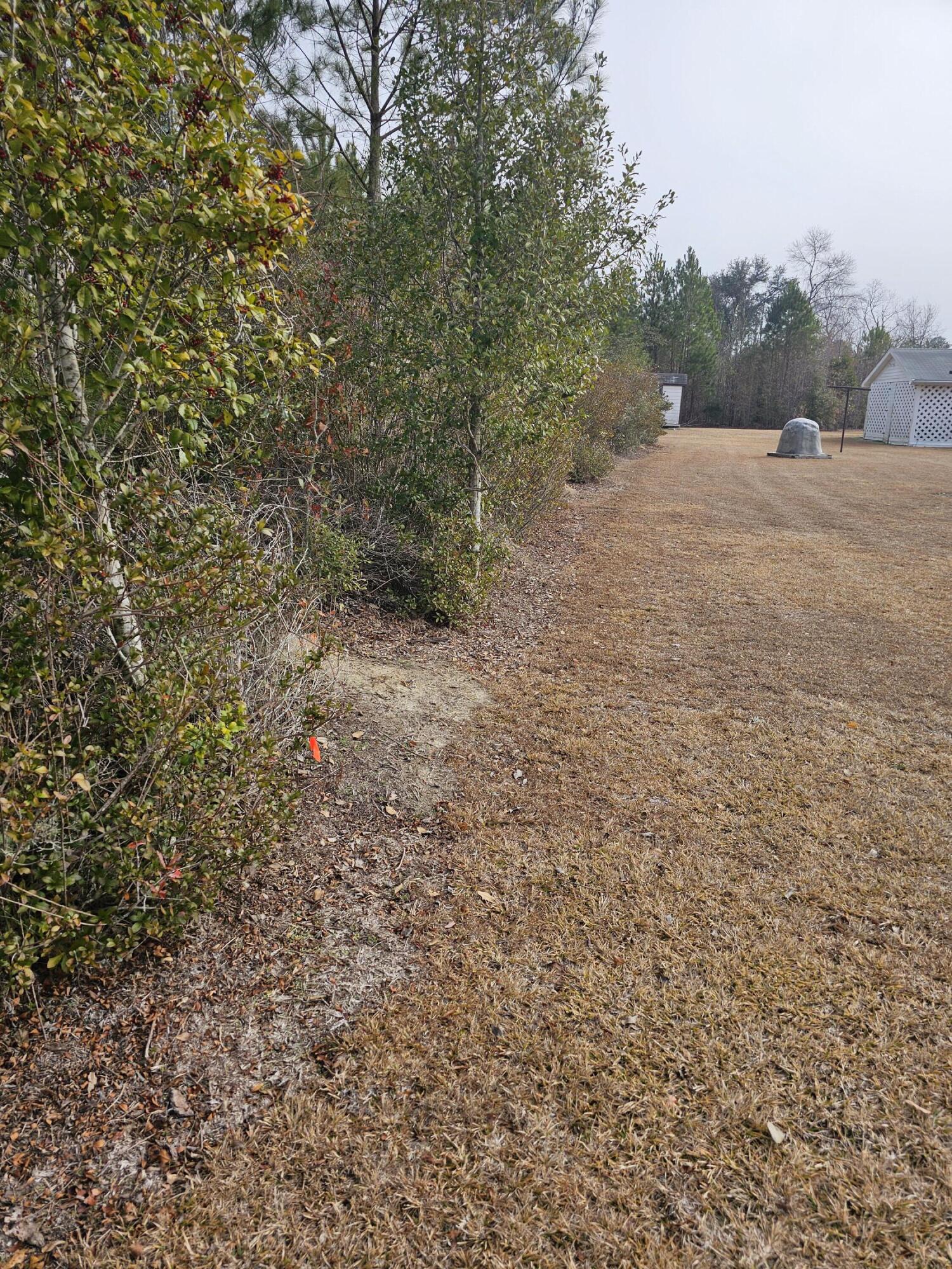 2830 Wire Road St. George, SC 29477 - Photo 74 of 76 20250203_104027