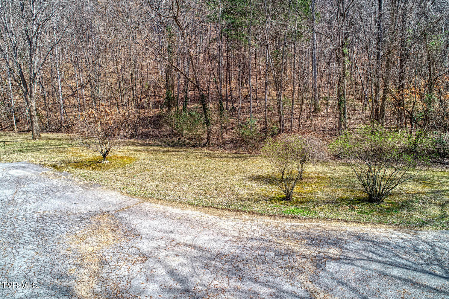 462 South Johnson Road Rogersville, TN 37857 - Photo 16 of 104 16