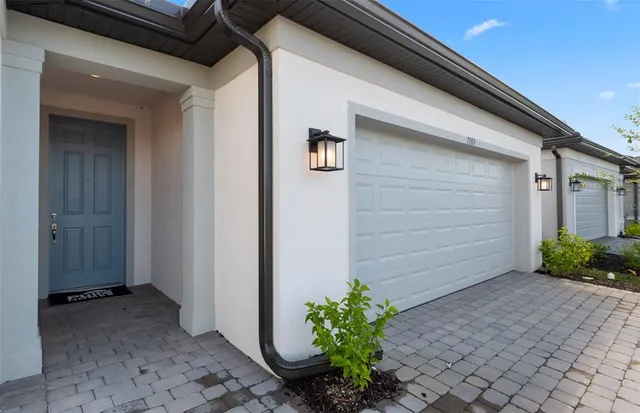 a view of backyard with potted plants