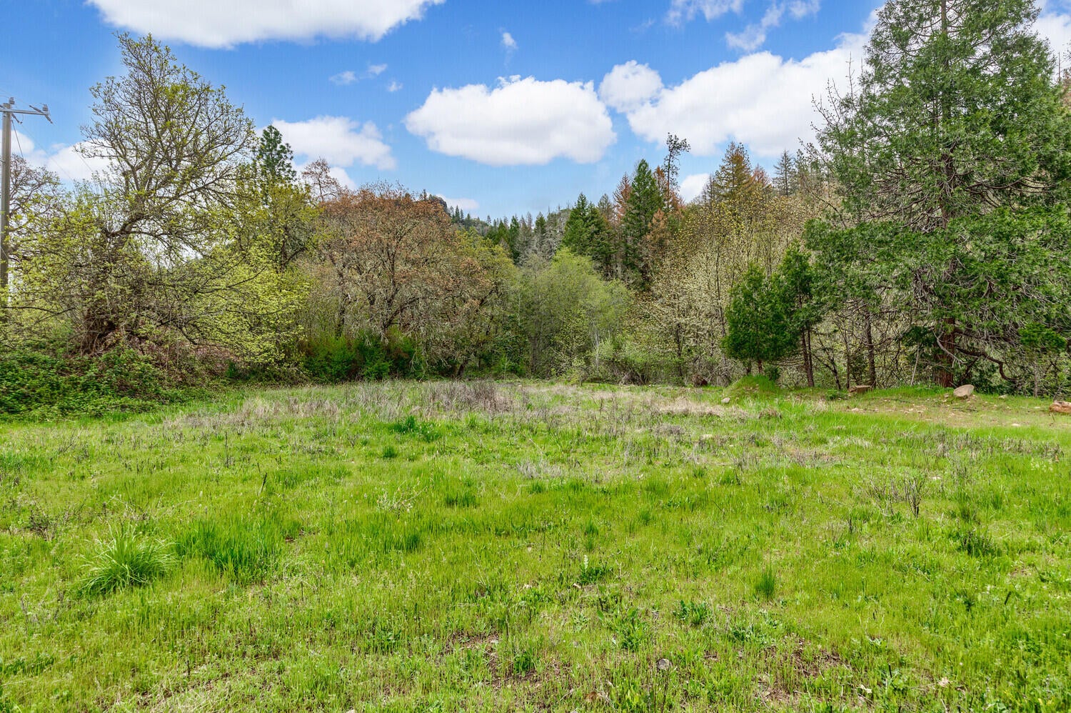 344 Elk Creek Road Trail, OR 97541 - Photo 11 of 43 31_ApexVTec_31_mls