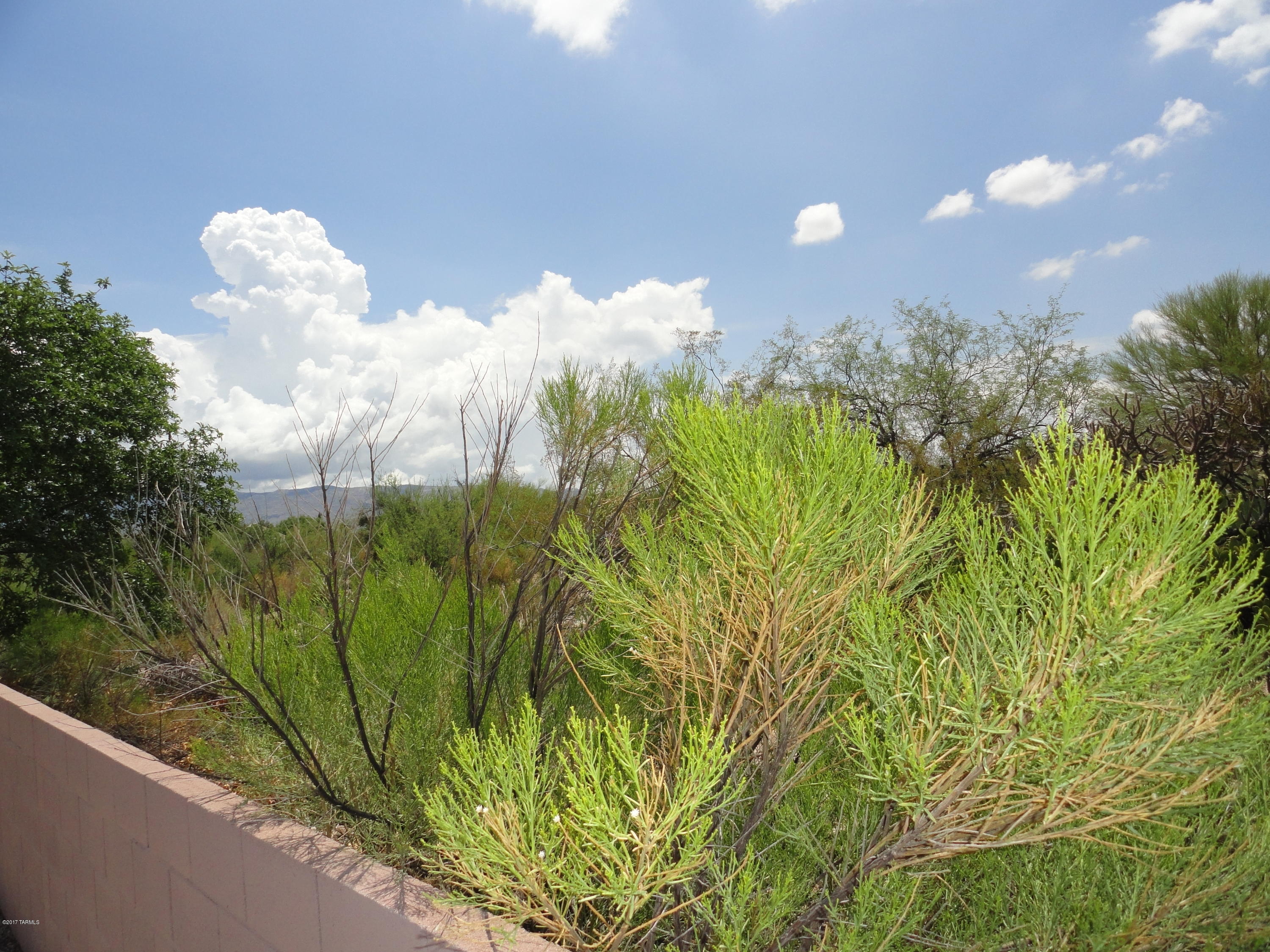 10050 East English Woods Road Tucson, AZ 85748 - Photo 22 of 25