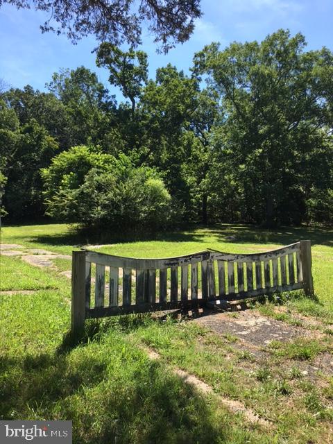 20393 Cedar Grove Road Culpeper, VA 22701 - Photo 3 of 9 Driveway