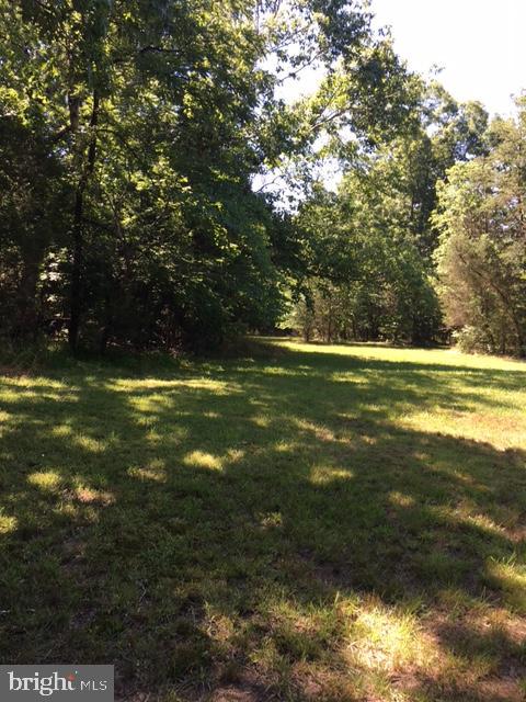 20393 Cedar Grove Road Culpeper, VA 22701 - Photo 6 of 9 View