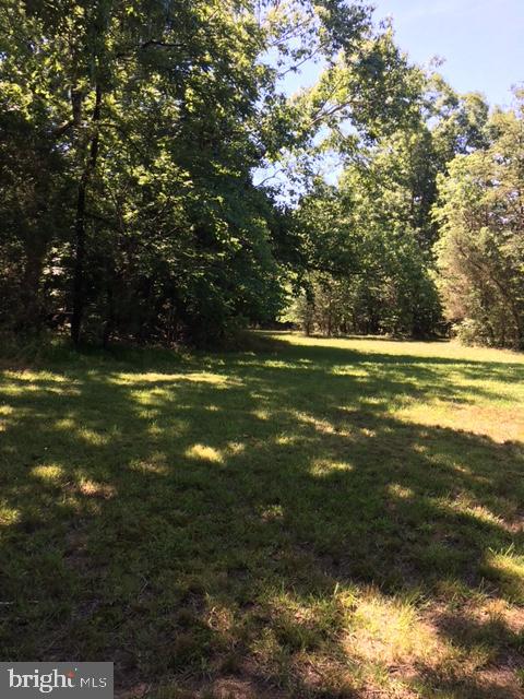 20393 Cedar Grove Road Culpeper, VA 22701 - Photo 7 of 9 View