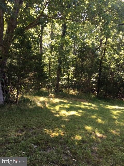 20393 Cedar Grove Road Culpeper, VA 22701 - Photo 8 of 9 View