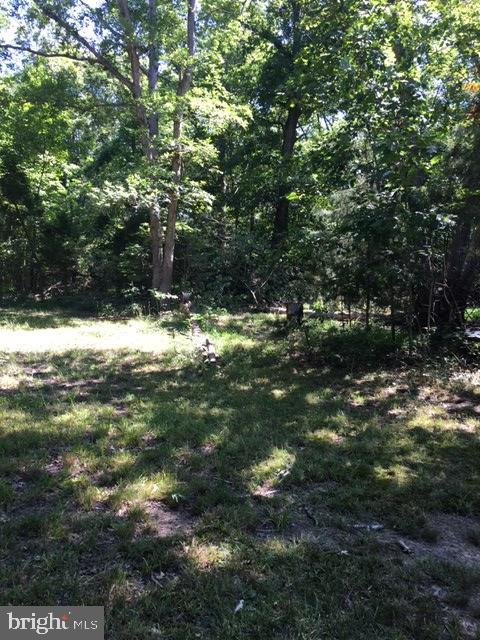 20393 Cedar Grove Road Culpeper, VA 22701 - Photo 9 of 9 View
