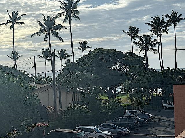 3676 Lower Honoapiilani Road, Unit C301 Lahaina, HI 96761 - Photo 2 of 49 View from Staircase