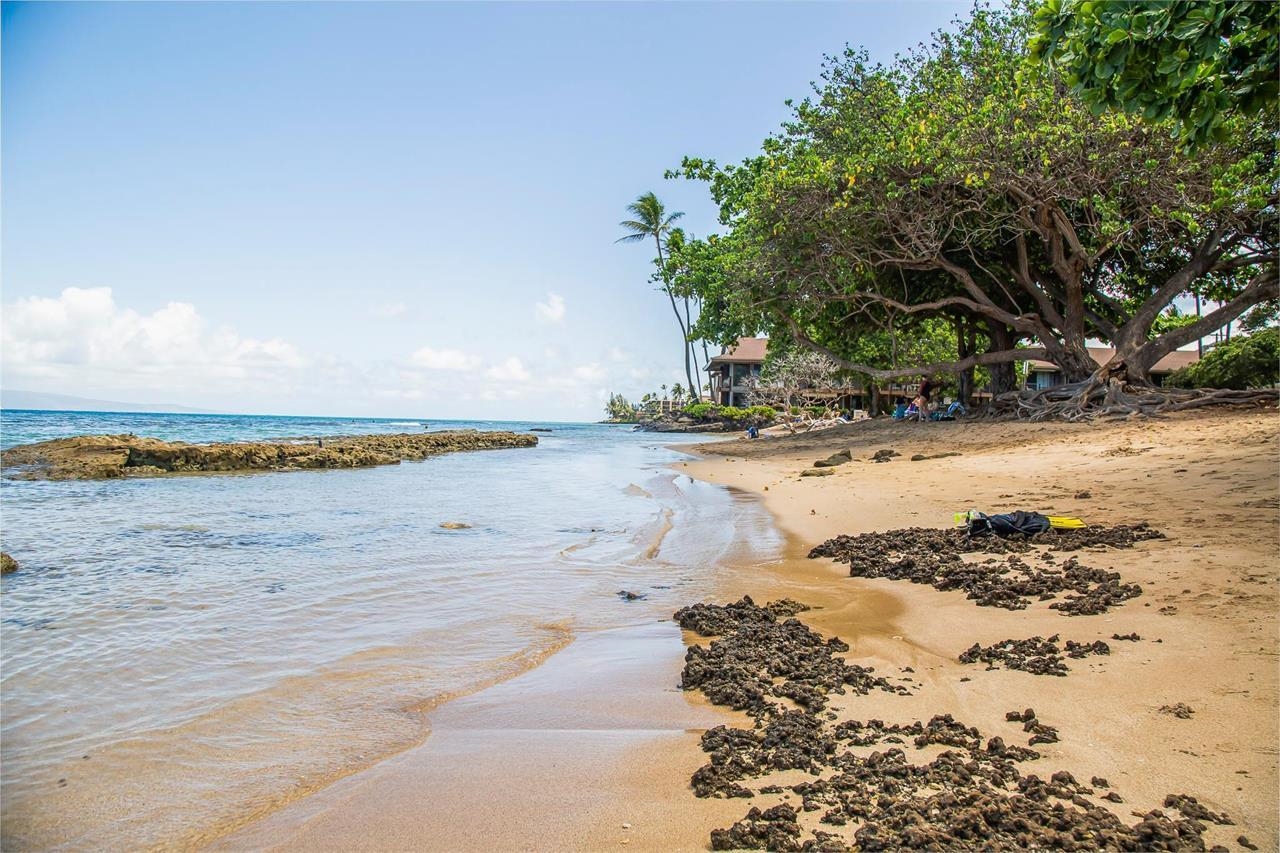 3676 Lower Honoapiilani Road, Unit C301 Lahaina, HI 96761 - Photo 44 of 49 Honokowai Park
