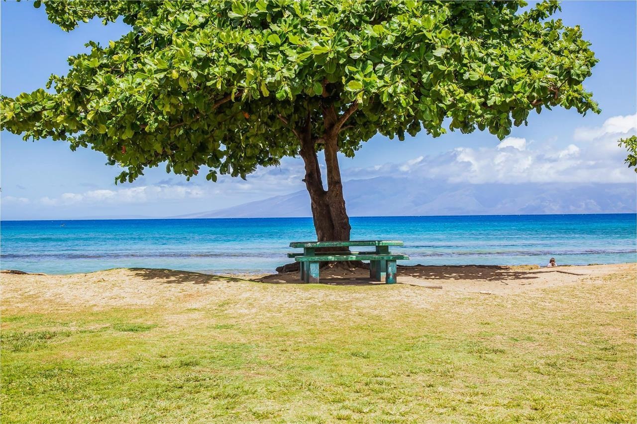 3676 Lower Honoapiilani Road, Unit C301 Lahaina, HI 96761 - Photo 45 of 49 Honokowai Park