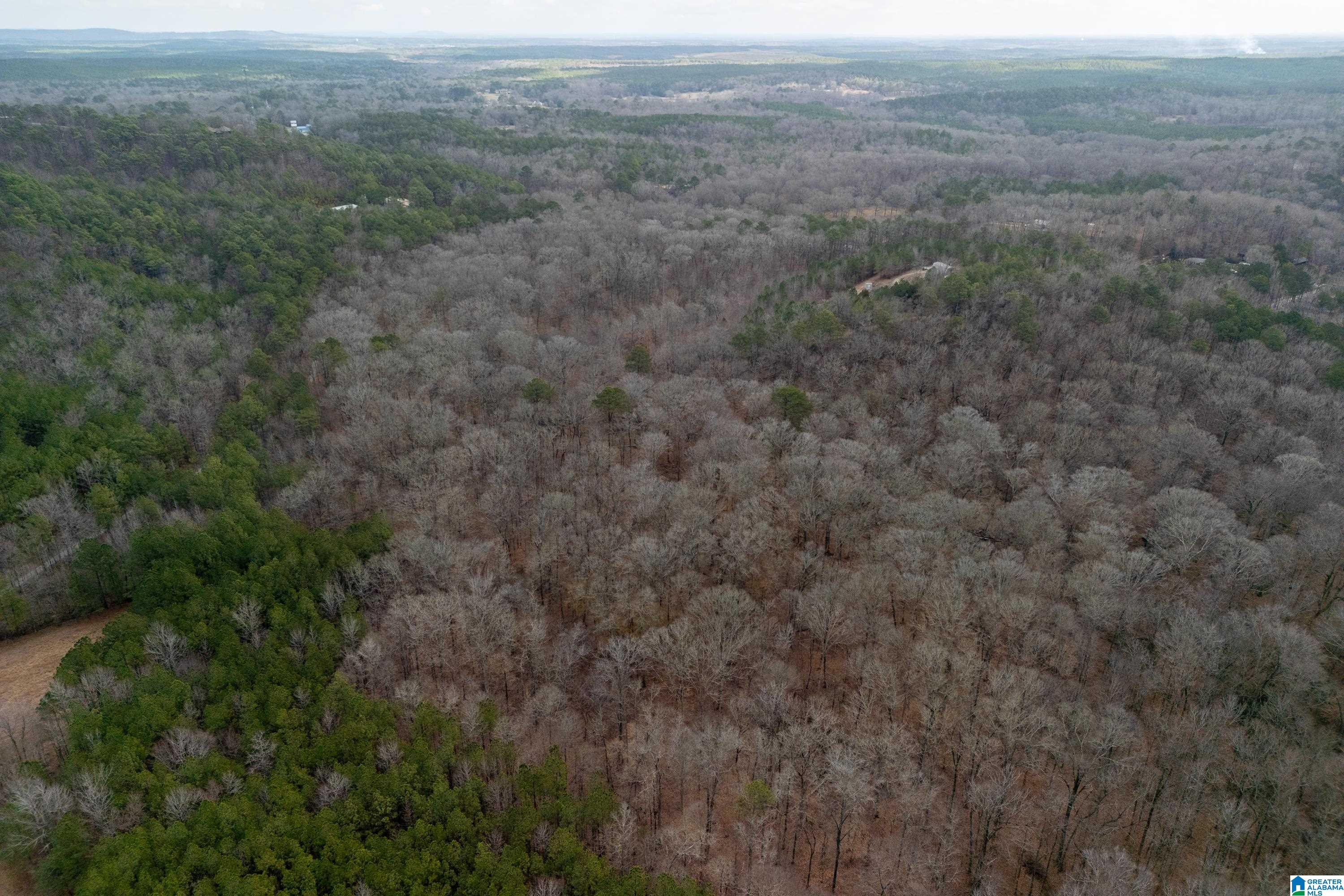 2885 Highway 26 Alabaster Al Alabaster, AL 35007 - Photo 34 of 43