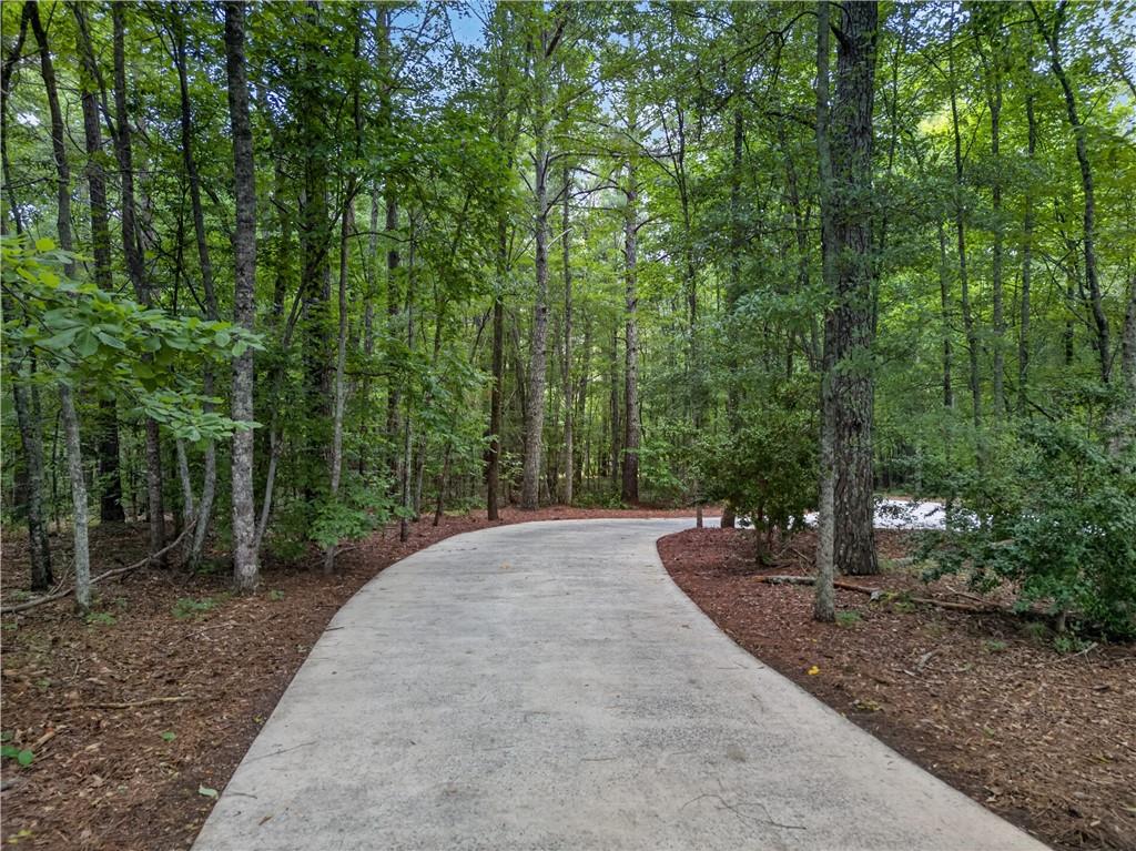 2404 Corinth Poseyville Road Bremen, GA 30110 - Photo 79 of 87
